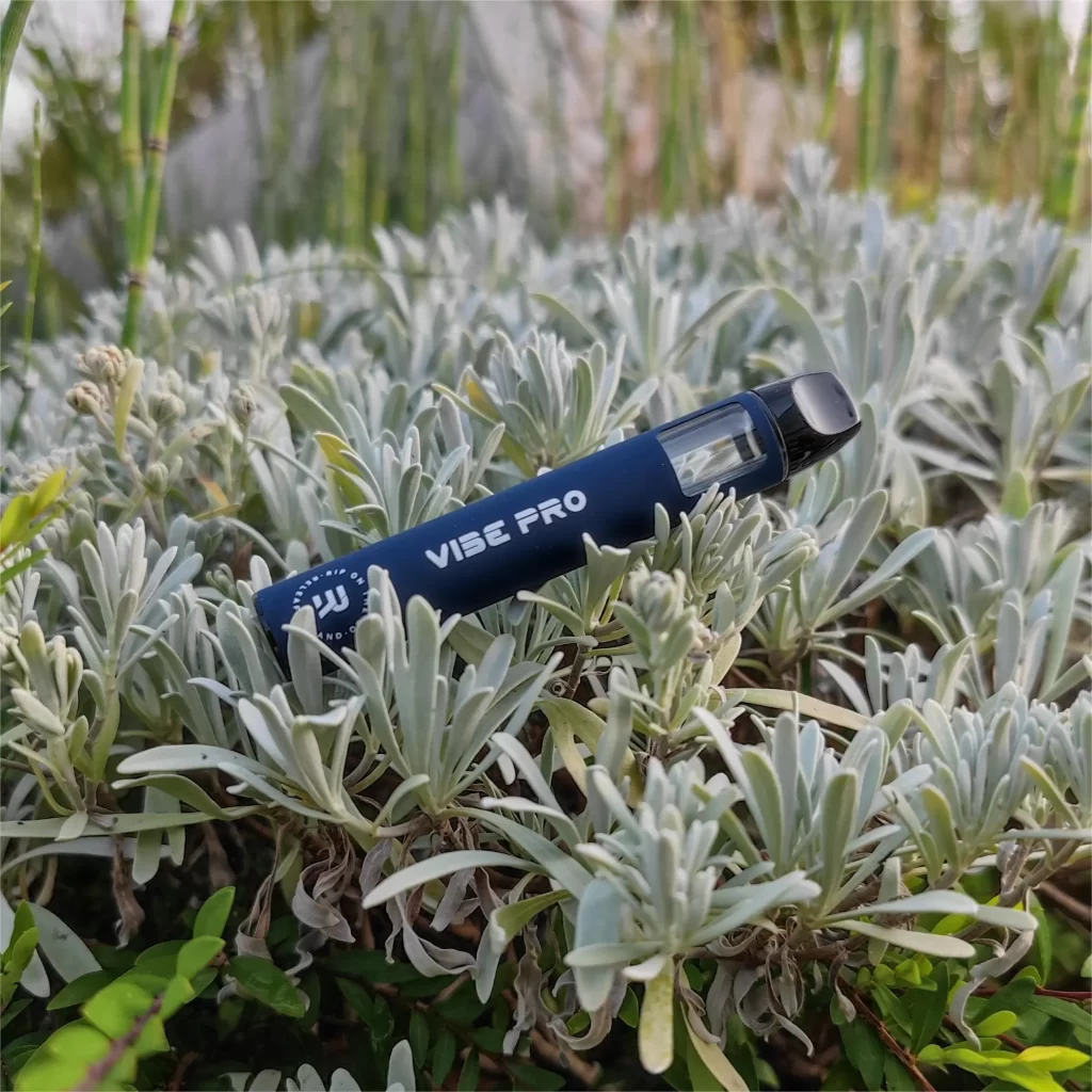 Vibe Pro disposable vape pen