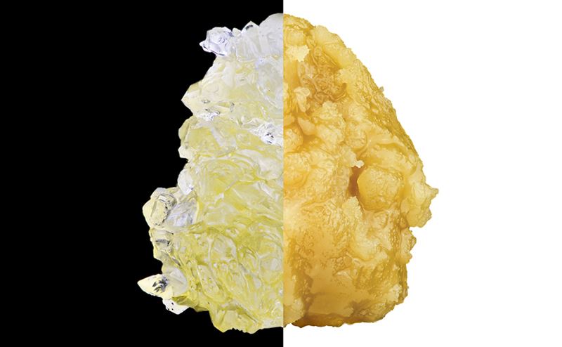 live resin vs live rosin