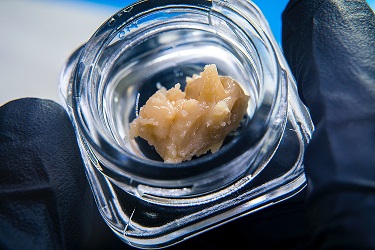live rosin